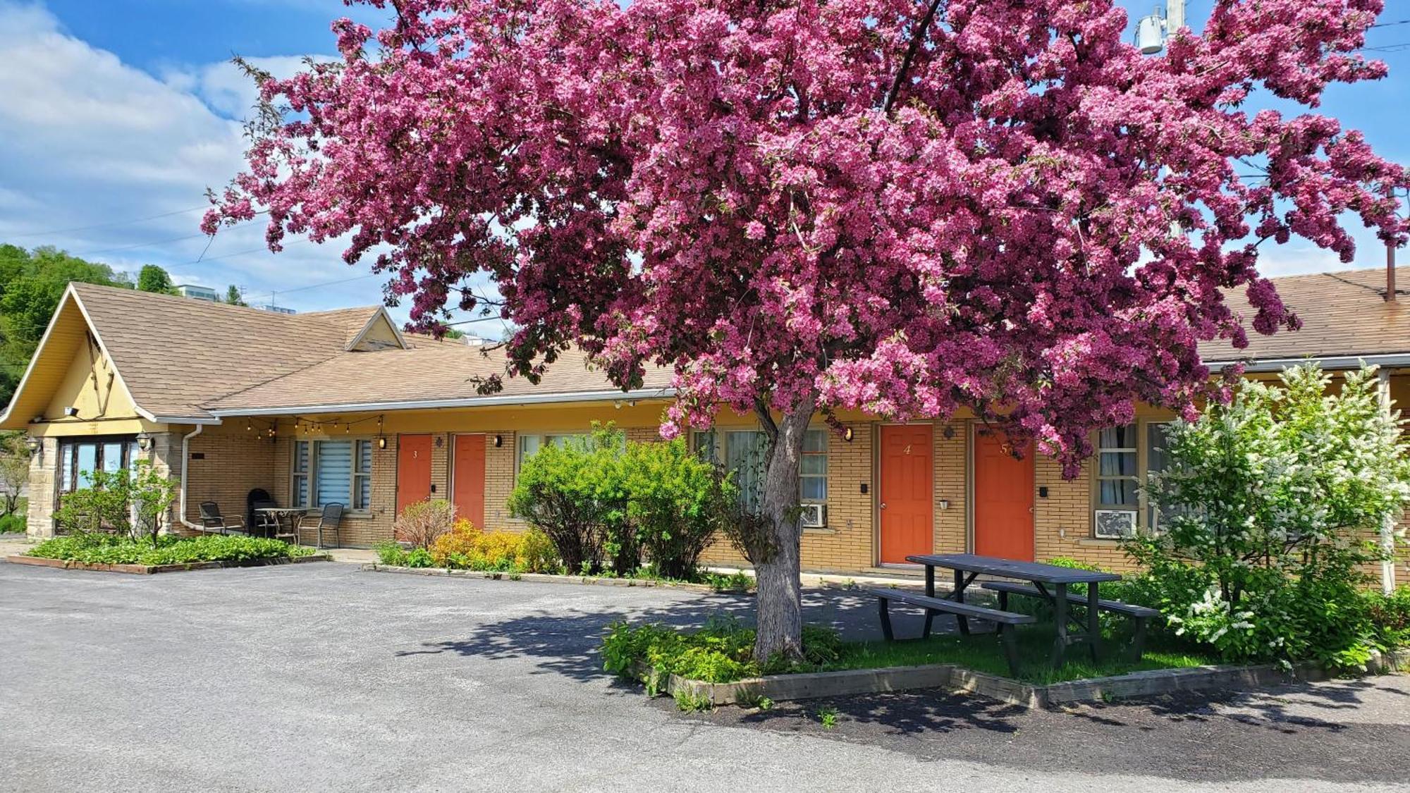 Motel Lofts Fleuve Et Montagnes Sainte-Anne-de-Beaupré Zewnętrze zdjęcie